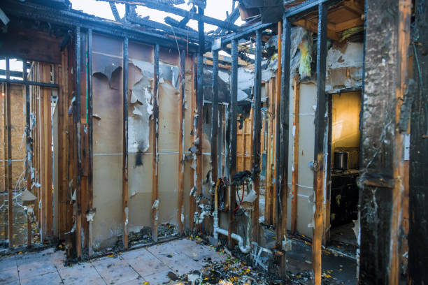 Professional Smoke Damage Removal technician working in Las Lomas, CA